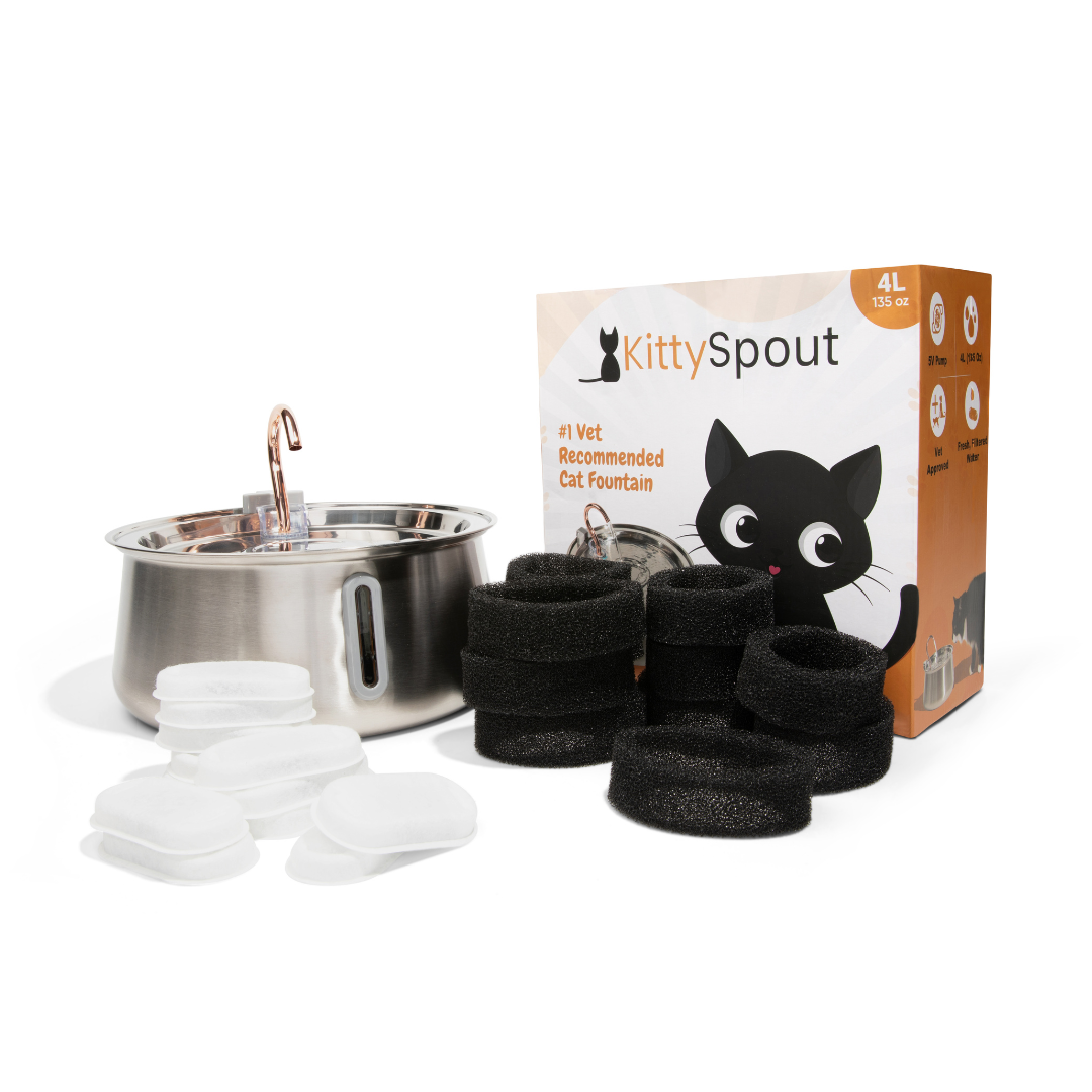 Kit de salud y felicidad para gatos The KittySpout™