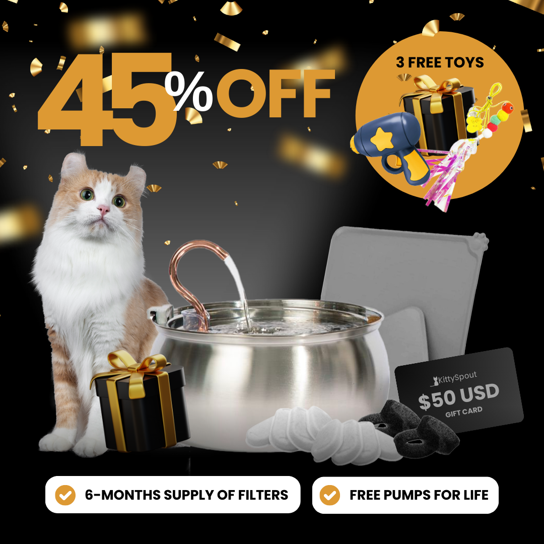 KittySpout Value Bundle