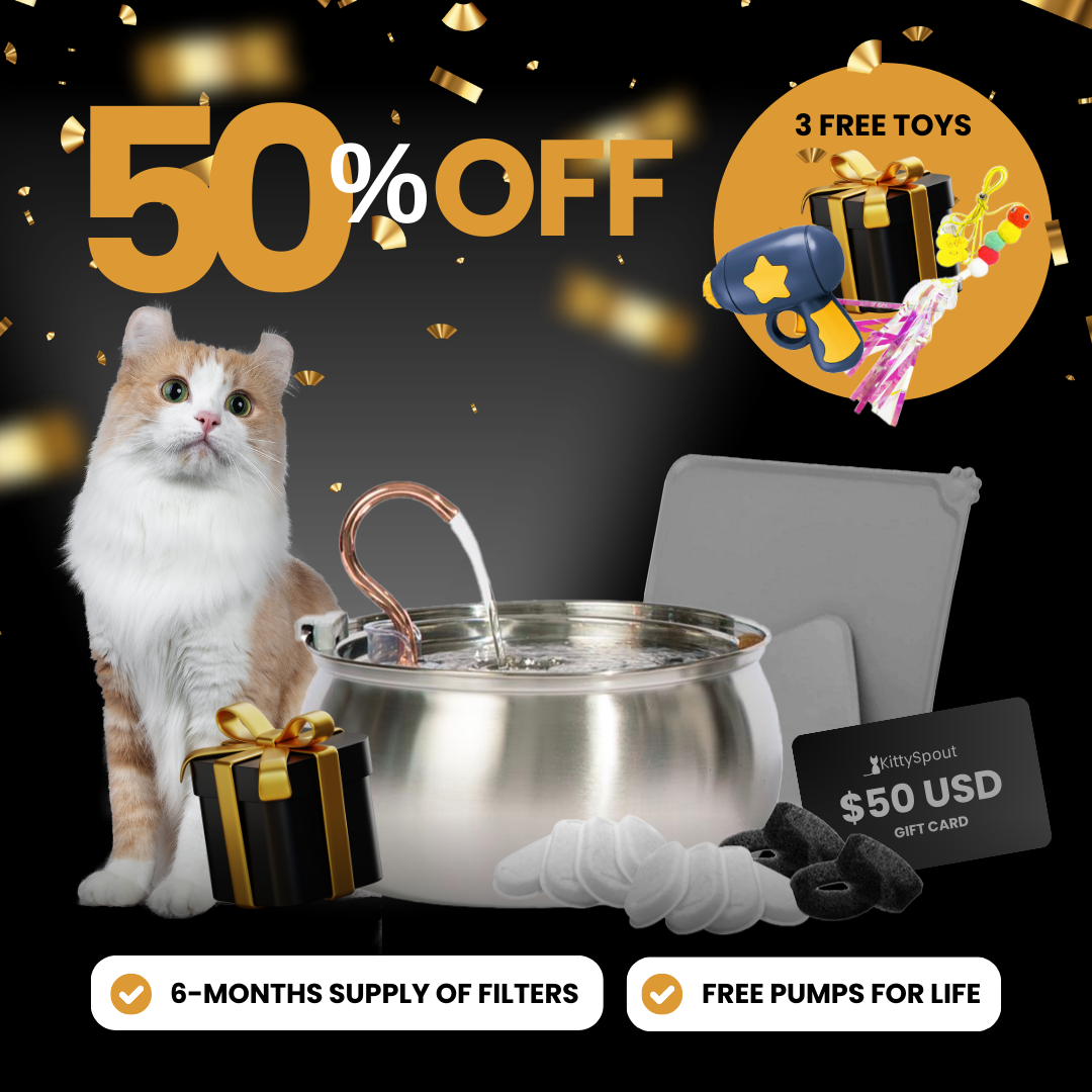 KittySpout Value Bundle