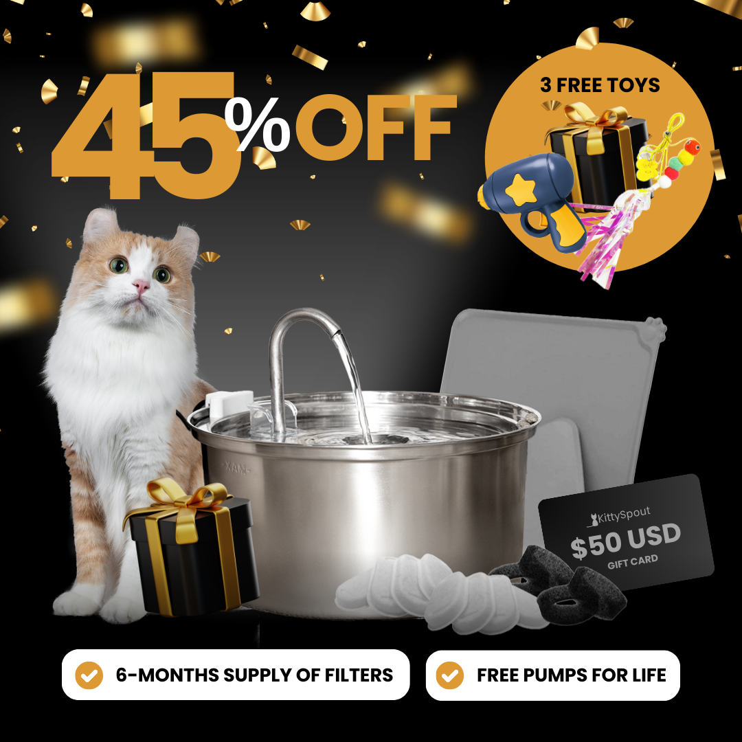 KittySpout Value Bundle