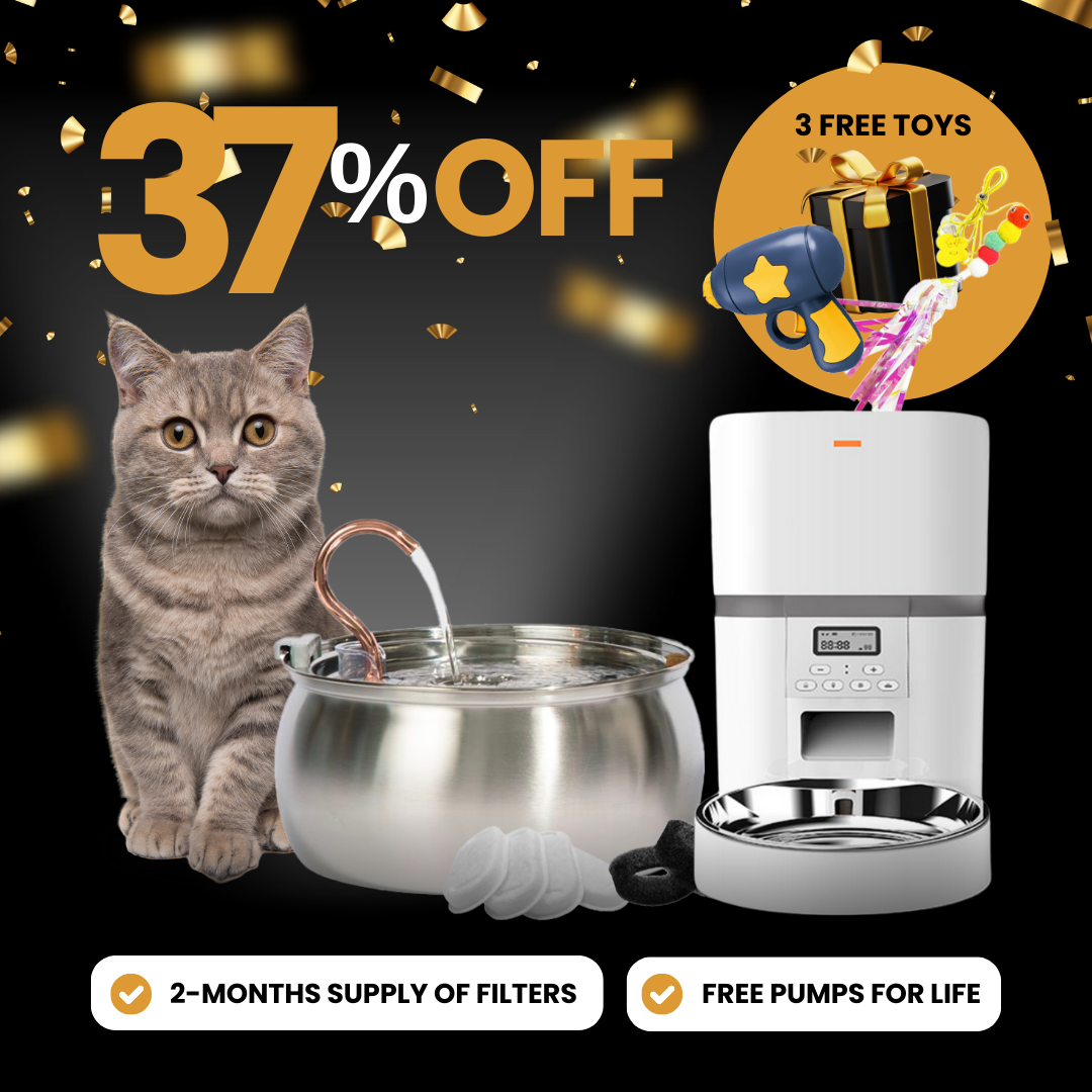 Elite Cat Care Bundle