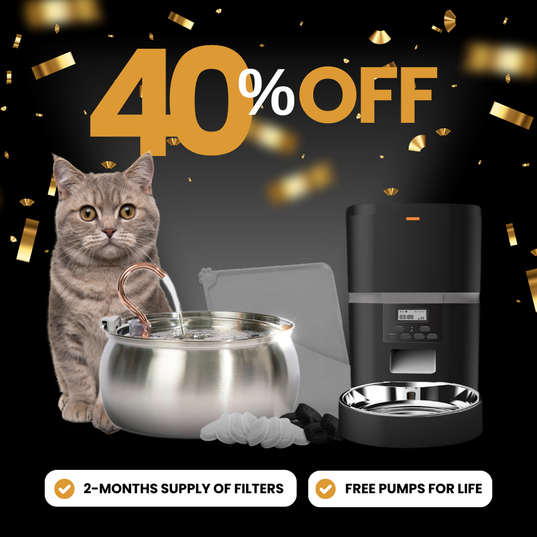 Elite Cat Care Bundle