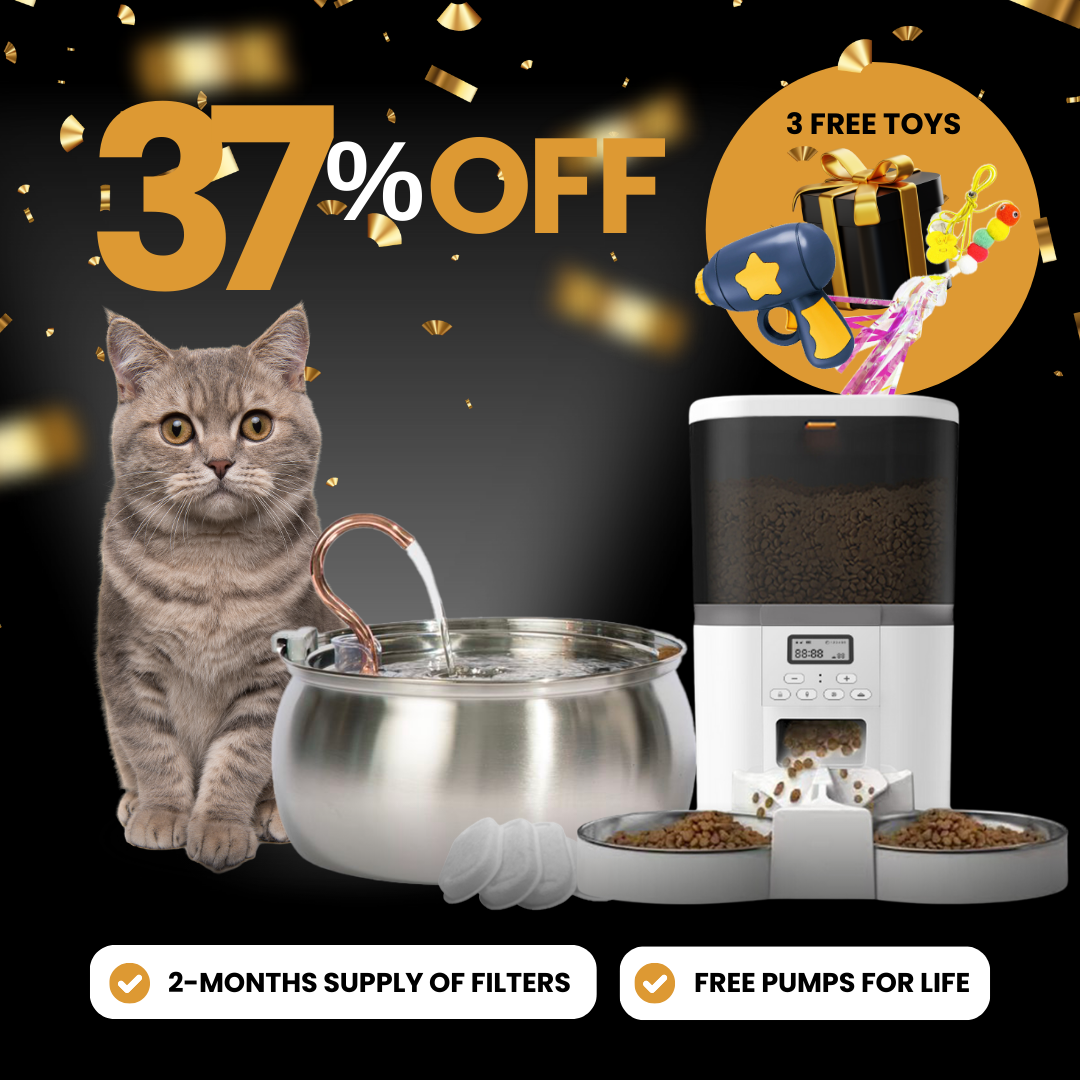 Elite Cat Care Bundle