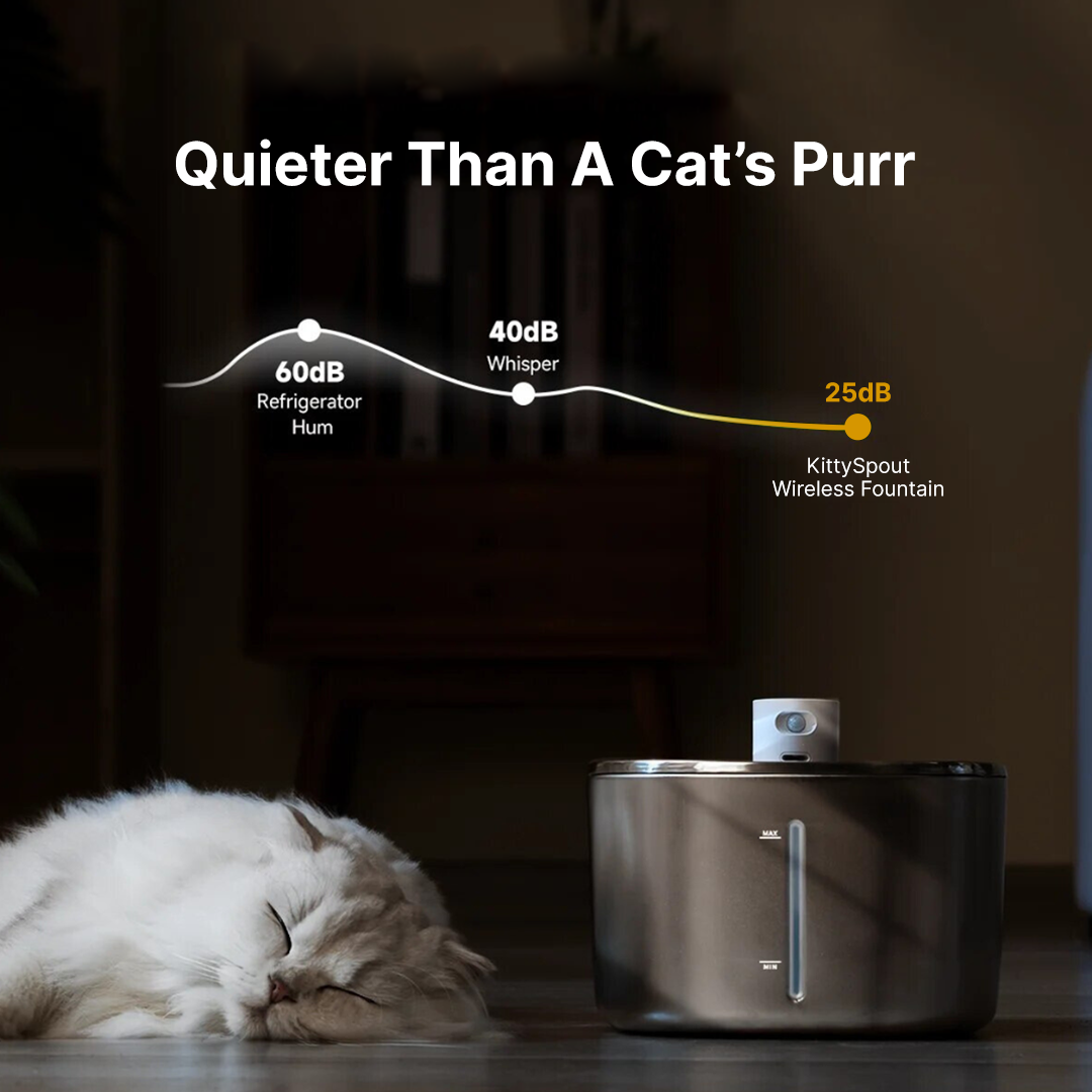 Wireless KittySpout Value Bundle